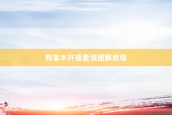 鸭掌木扦插要领图解教程